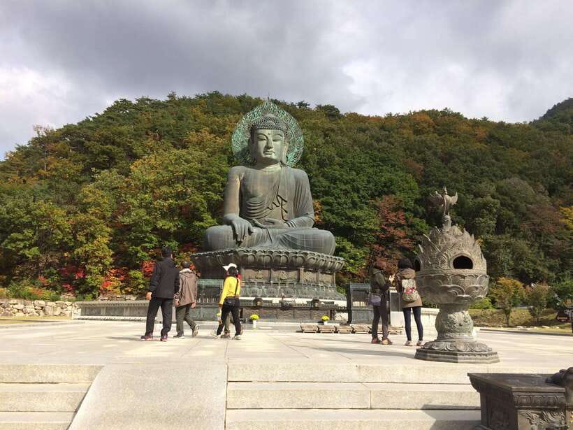 Seoul: Mt.Seorak(+CableCar Option)+Sokcho Fish Market&Beach - Key things I think you will notice fast