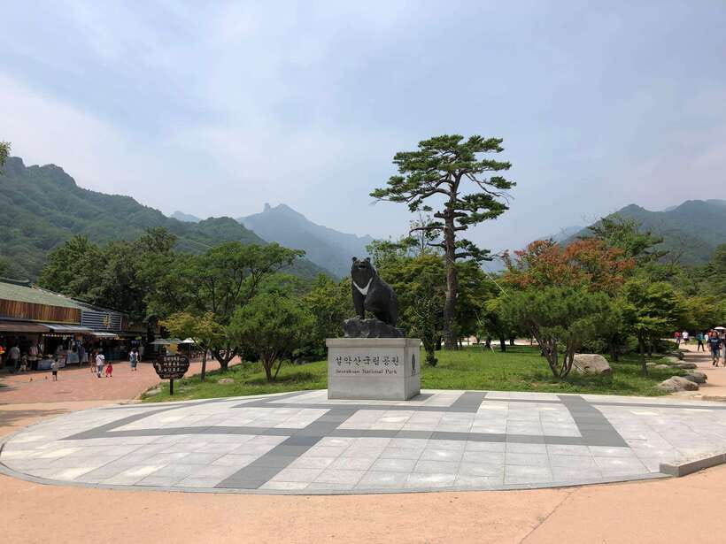 Seoul: Mt.Seorak(+CableCar Option)+Sokcho Fish Market&Beach - Why Seoraksan plus Sokcho makes sense as a single day