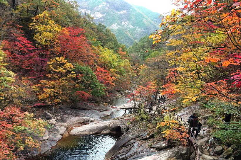 Seoul: Mt.Seorak(+CableCar Option)+Sokcho Fish Market&Beach - Price and value: what $68 includes and what you should budget