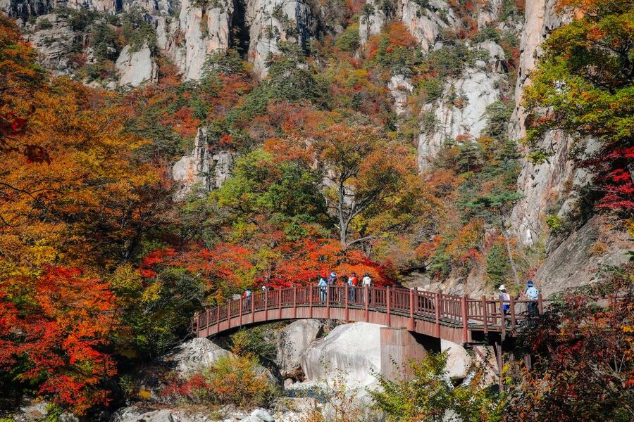 Seoul: Mt Seorak + Naksansa Temple or Nami Island Group Tour - Why Mt Seorak Feels Like a Reset From Seoul
