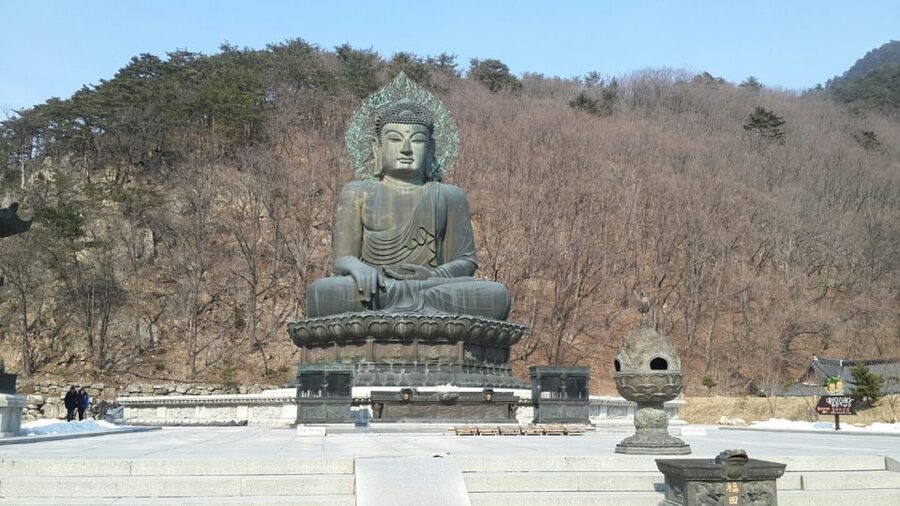 Seoul: Mt Seorak + Naksansa Temple or Nami Island Group Tour - The Two Options: Nami Island for Walks, Naksansa for Clifftop Culture