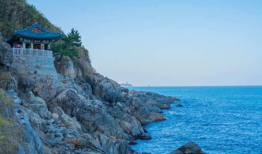 Seoul: Mt Seorak + Naksansa Temple or Nami Island Group Tour - Nami Island: Half-Moon Walks, Film Mood, and Wildlife Surprises
