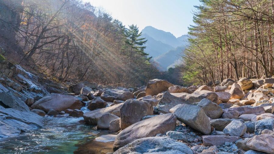 Seoul: Mt Seorak + Naksansa Temple or Nami Island Group Tour - Road Time, Group Size, and Why Timing Still Matters