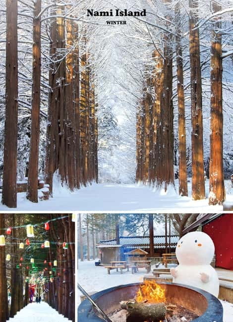 Seoul: Mt. Seorak & Nami Island & Eobi Ice Valley Day Tour - Key highlights I’d circle on your plan