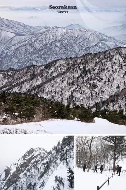 Seoul: Mt. Seorak & Nami Island & Eobi Ice Valley Day Tour - Nami Island: the iconic paths, the curated feel