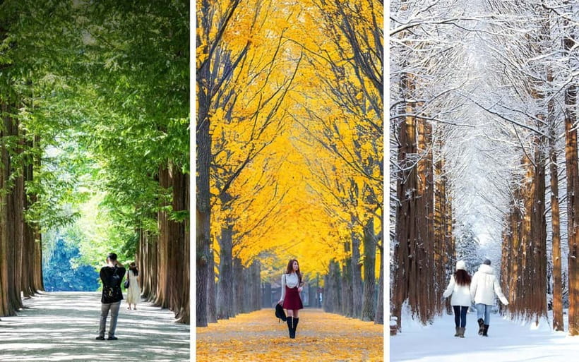 Seoul: Mt. Seorak & Nami Island & Eobi Ice Valley Day Tour - How the day really feels from Seoul (timing and transit)