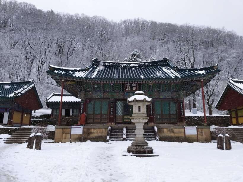 Seoul: Mt.Seorak, Nami Island & Korean Garden, No Shopping - A Seoul day trip that actually feels like a day trip