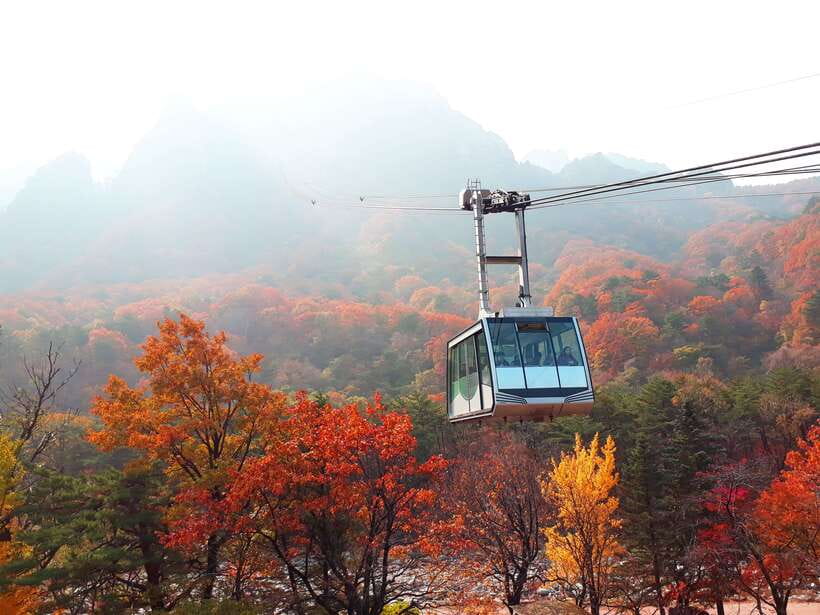 Seoul: Mt.Seorak, Nami Island & Korean Garden, No Shopping - Cable car reality check: plan for walking either way