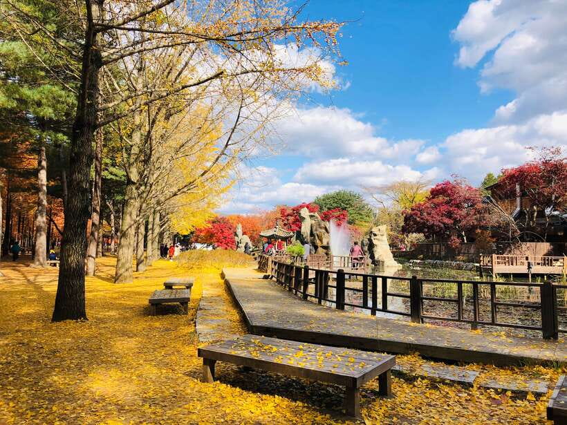 Seoul: Mt.Seorak, Nami Island & Korean Garden, No Shopping - Nami Island: ferry charm, shaded walkways, and photo spots