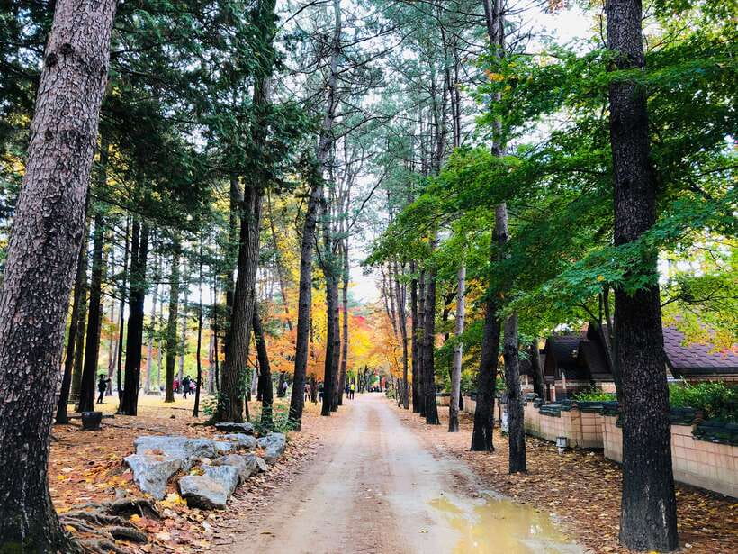 Seoul: Mt.Seorak, Nami Island & Korean Garden, No Shopping - How the day actually feels, from timing to pace
