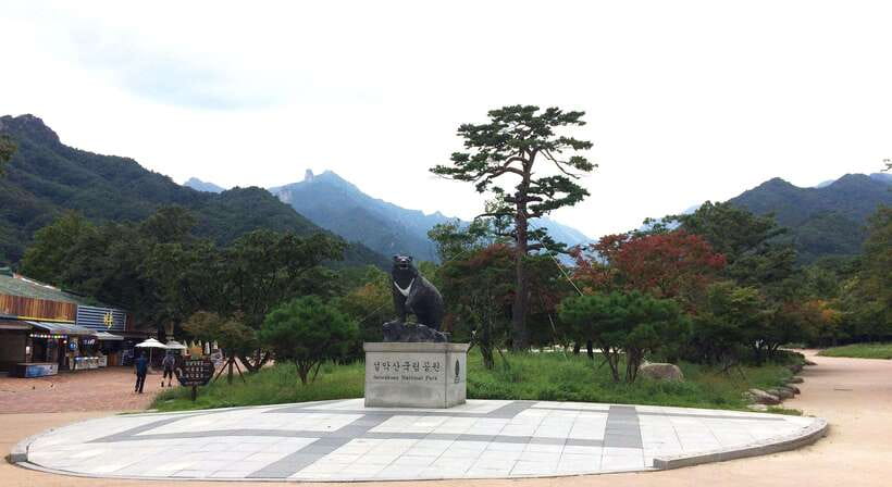 Seoul: Mt.Seorak, Nami Island, No Shopping(+RailBike Option) - Mt. Seorak and Nami Island: Why This Pair Makes Sense