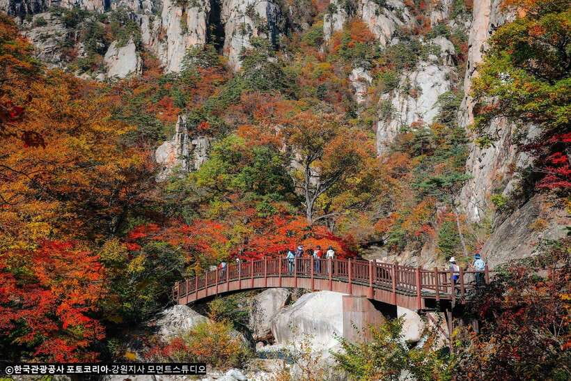 Seoul: Mt.Seorak, Nami Island, No Shopping(+RailBike Option) - Getting Started: Meeting Points, Van Ride, and Time You Should Protect