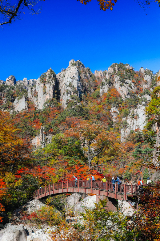 Seoul: Mt. Seoraksan National Park Autumn Foliage Day Tour - Key highlights I think you’ll care about