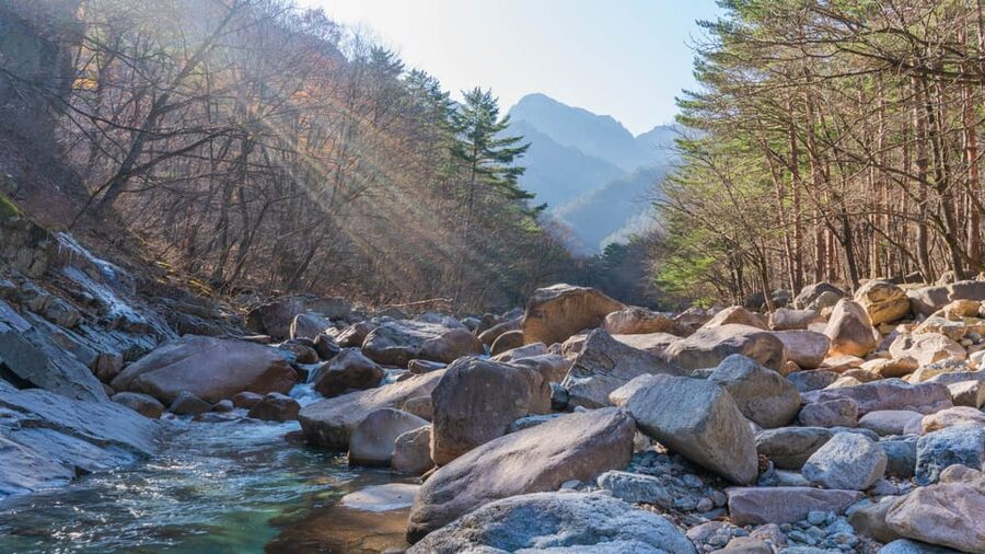 Seoul: Mt. Seoraksan National Park Autumn Foliage Day Tour - Price and value: what $60 covers, and what it doesn’t