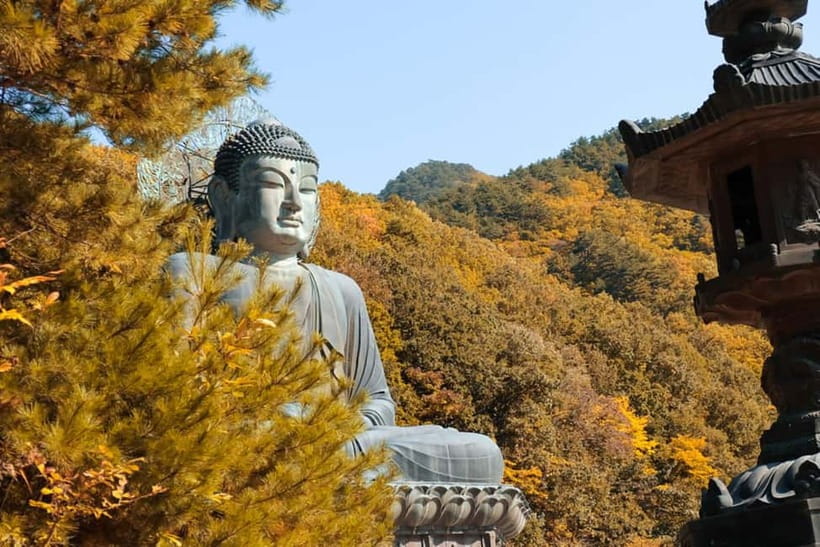 Seoul: Mt. Seoraksan National Park Autumn Foliage Day Tour - Morning bus to Seoraksan: the calm start that makes the day work