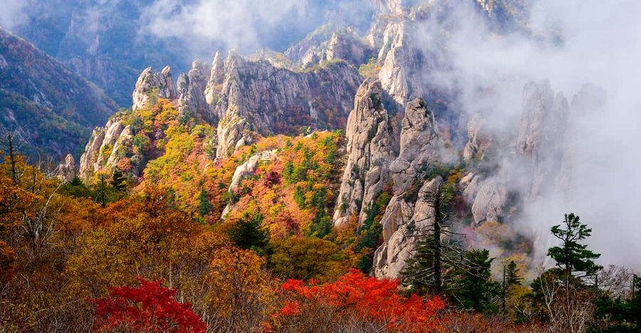 Seoul: Mt. Seoraksan National Park Autumn Foliage Day Tour - Inside the park for about five hours: choose your trail personality