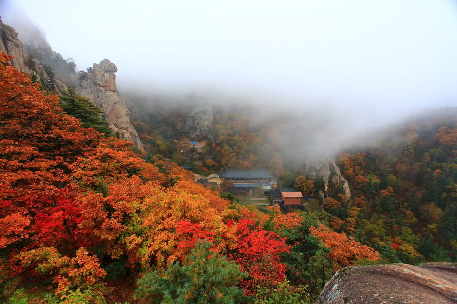 Seoul: Mt. Seoraksan National Park Autumn Foliage Day Tour - Cable car tickets: optional, not included, and worth deciding early