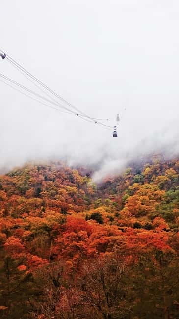 Seoul: Mt. Seoraksan National Park Autumn Foliage Day Tour - Staff support in English and Chinese, plus human touches