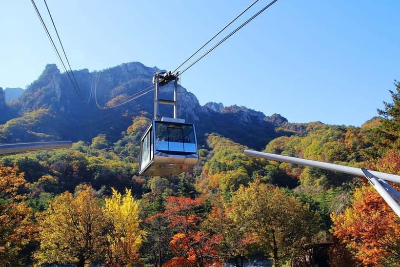 Seoul: Mt. Seoraksan National Park Autumn Foliage Day Tour - Timing back to Seoul: you get daylight, not an all-day slog