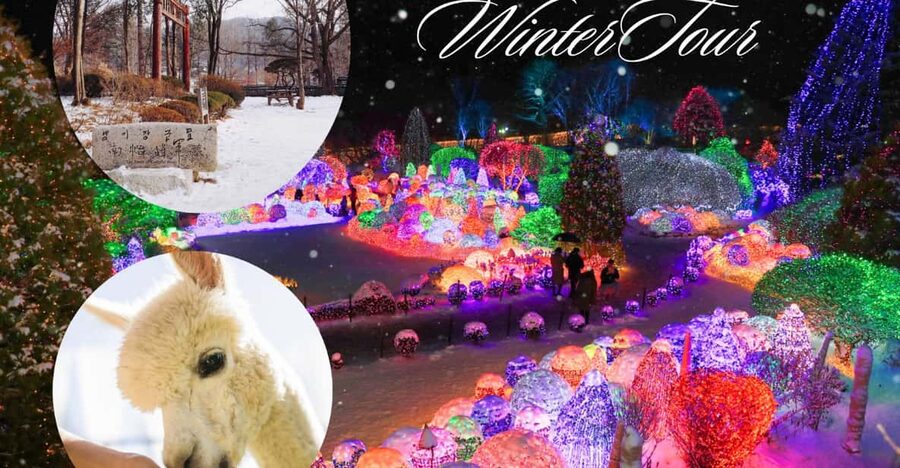 Seoul: Nami and K-Garden with Optional Alpaca Winter Tour - How the day flows from Seoul to Gapyeong and back