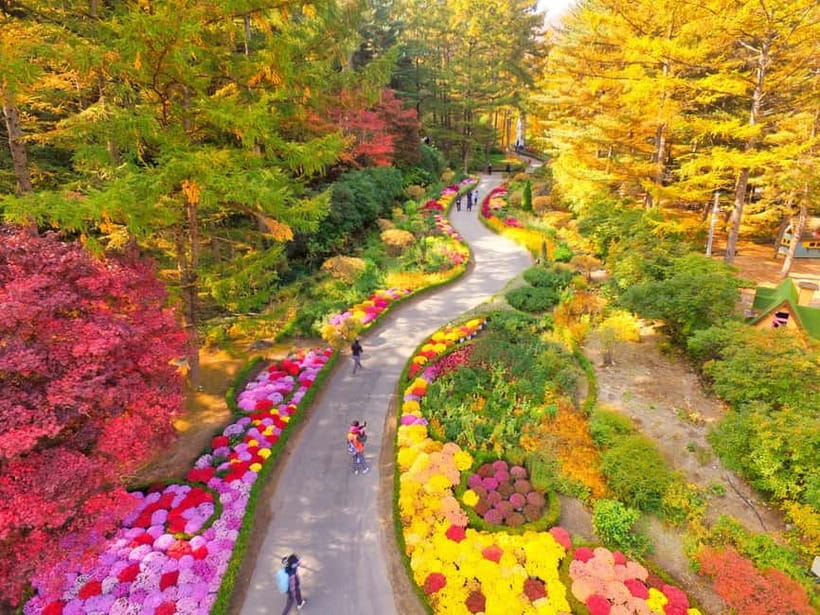 Seoul: Nami Island and Garden of Morning Calm opt Railbike - Season swaps, Light Festival, and what can change