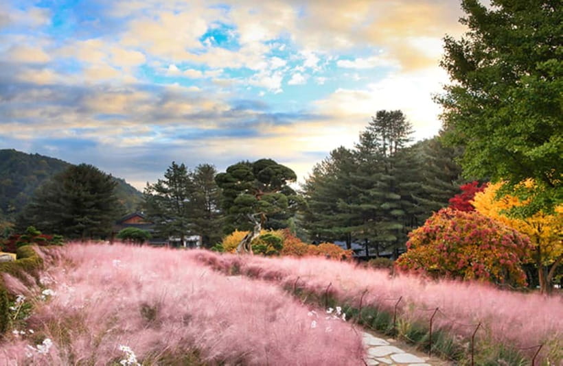 Seoul: Nami Island and Garden of Morning Calm opt Railbike - Price and value for a two-attraction, full-day tour