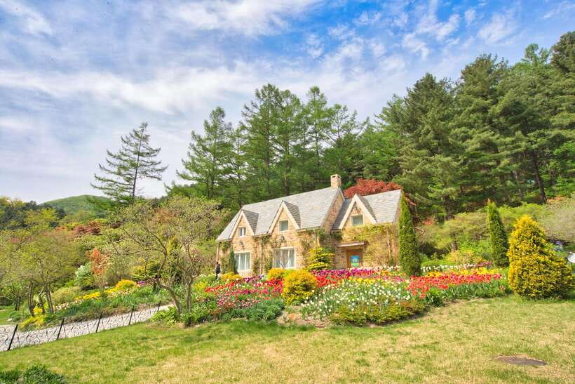 Seoul: Nami Island, Garden and Petite France (opt. Railbike) - How the Seoul bus route keeps this day trip low-stress