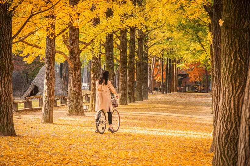 Seoul: Nami Island, Garden and Petite France (opt. Railbike) - Railbike at Gangchon Rail Park: the optional thrill with shared-bike tradeoffs