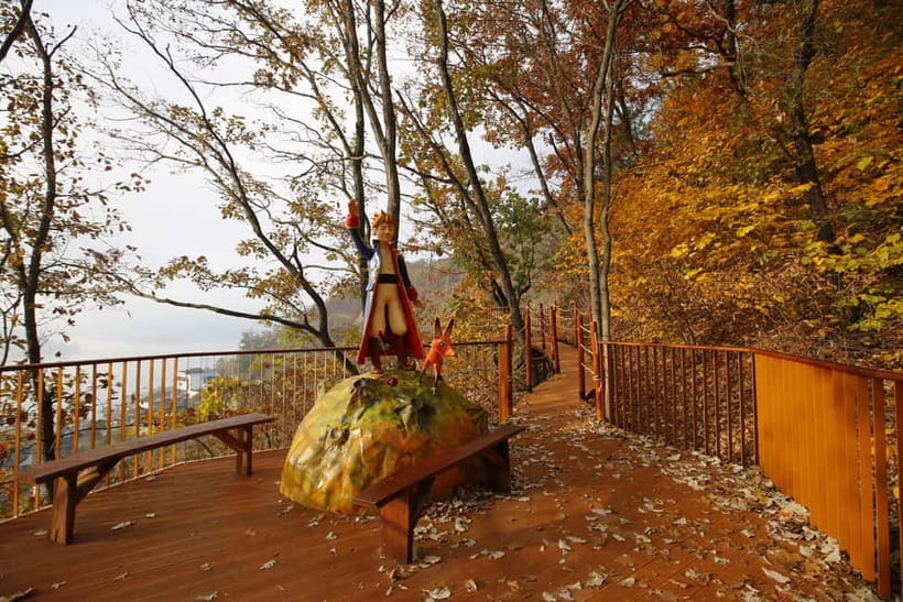 Seoul: Nami Island, Garden and Petite France (opt. Railbike) - Should you book this Seoul day trip?