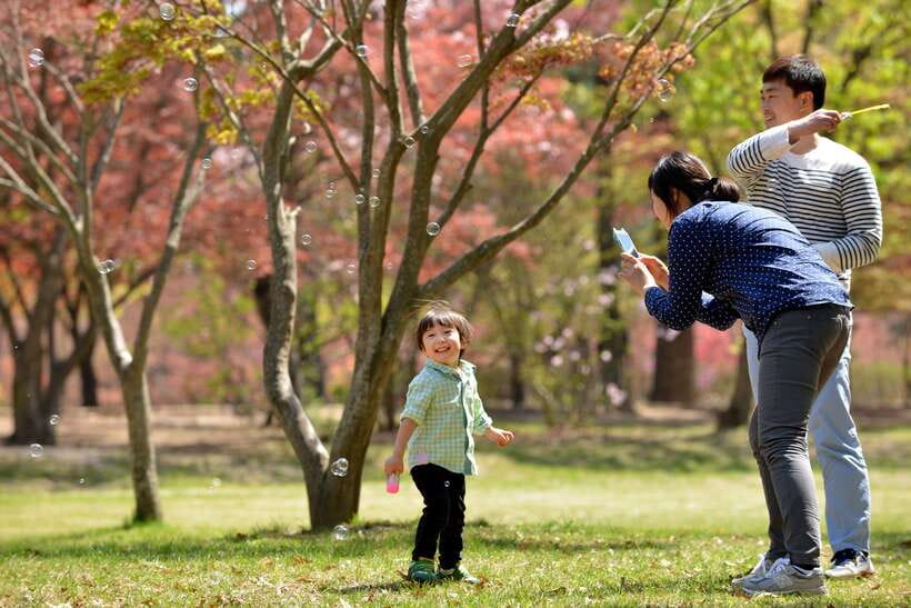 Seoul: Nami Island & Petite France Tour with Railbike Option - Why this day trip works: themed villages plus real nature time
