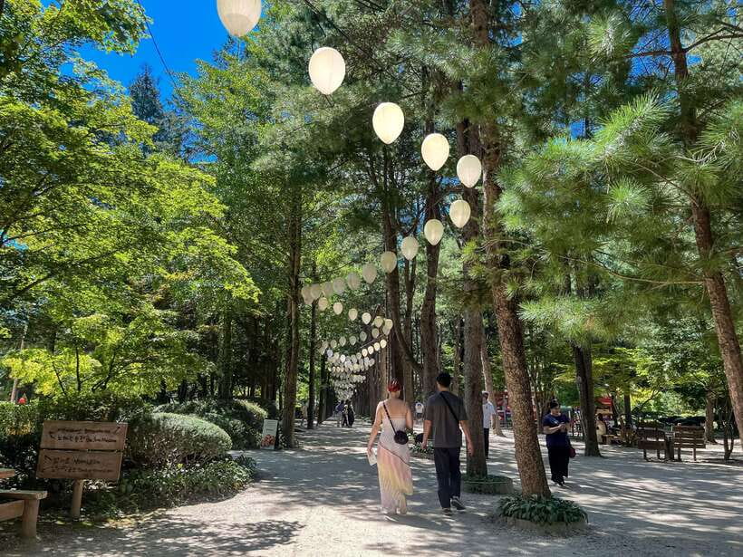 Seoul: Nami Island & Petite France Tour with Railbike Option - Petite France and the Pinocchio and Davinci Italian Village: built for photos, not just history
