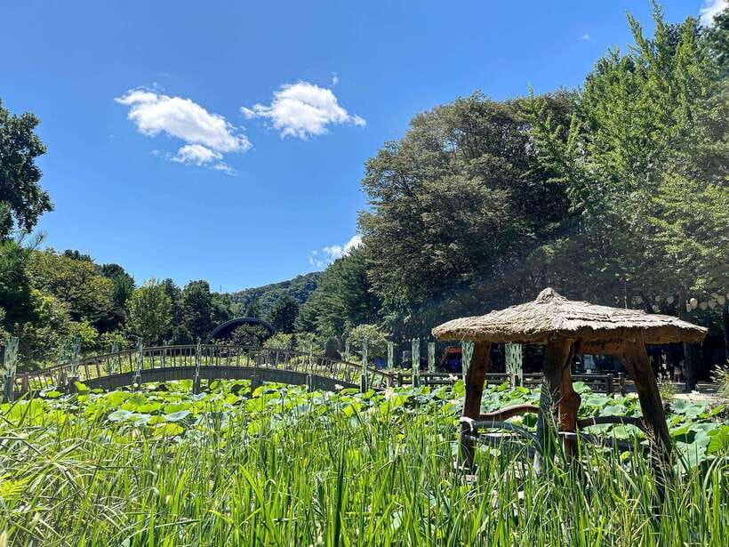 Seoul: Nami Island & Petite France Tour with Railbike Option - Getting from central Seoul: the coach ride you do not have to manage