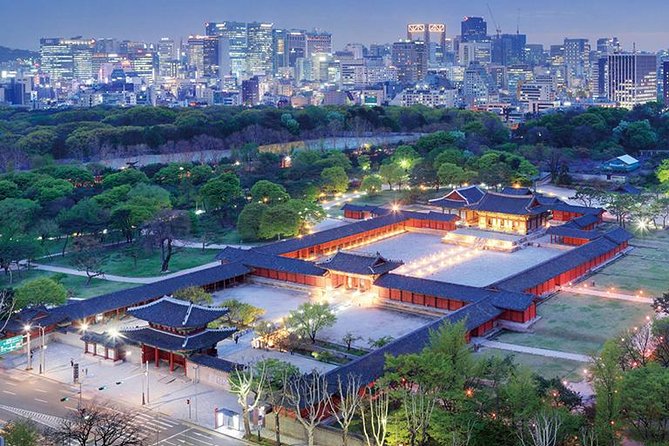 Seoul Night Tour (Gwangjang Market, Royal Palace and Naksan Park) - Guides Make It Feel Effortless (From Shana to Moon Young)