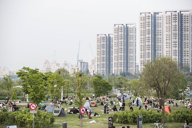 Seoul Night Tour with Han River Cruise and Gyeongbokgung Palace - Guide experience: what Joe’s style tells you to expect