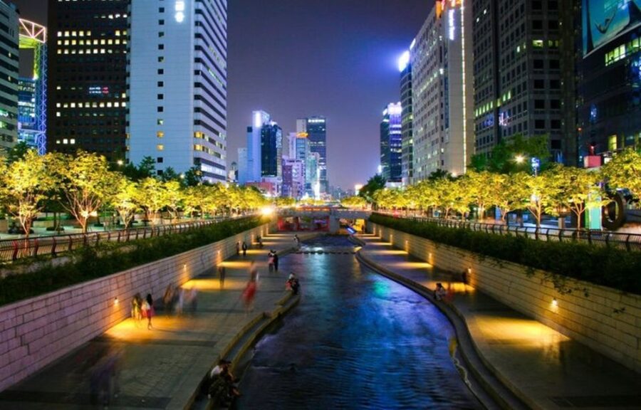 Seoul: Nighttime Tour of Palace, Market, Naksan Park & More - Key moments that make this tour worth your evening