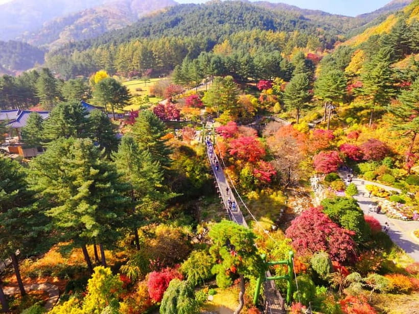 Seoul: Pocheon Art Valley, Garden and Fruit Picking Day Tour - The full schedule: transport timing, comfort, and how the day flows