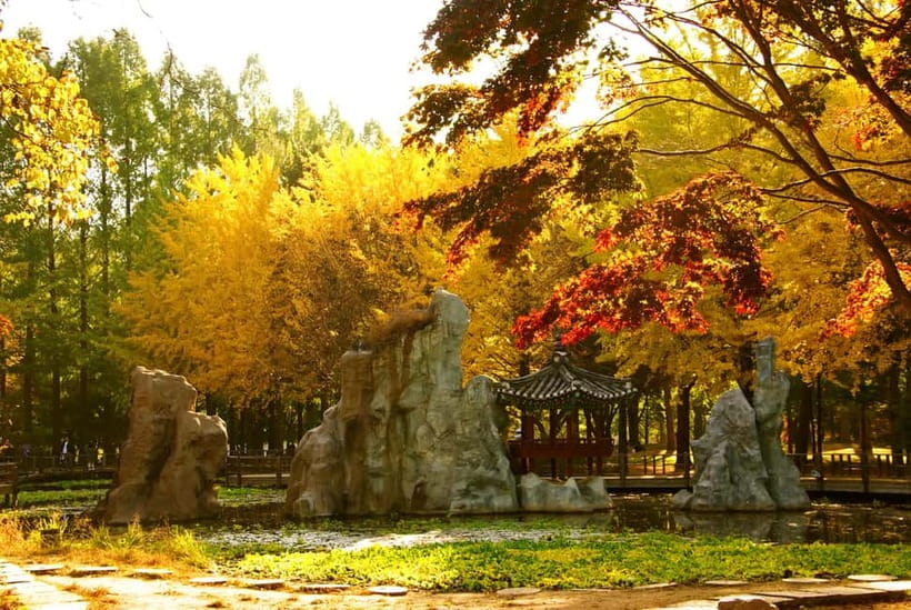 Seoul: Pocheon Art Valley, Garden and Fruit Picking Day Tour - Final call: should you book the Pocheon Art Valley and farm day tour?