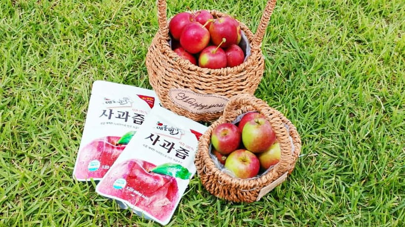 Seoul: Pocheon Art Valley, Garden and Fruit Picking Day Tour - Fruit picking and apple pie making: what you actually do all day