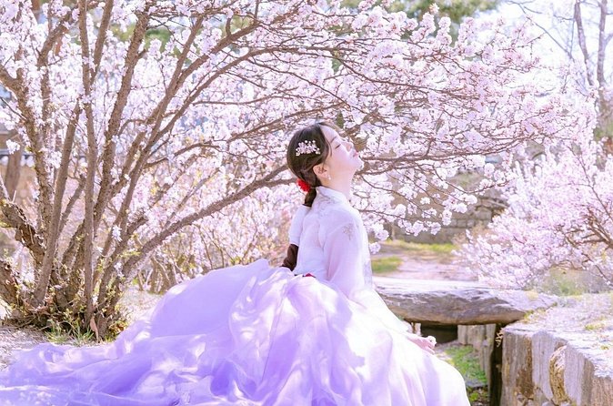 Seoul Premium Hanbok Rental at Arihanbok Photoshoot Included - Price and Value: What You’re Really Paying For