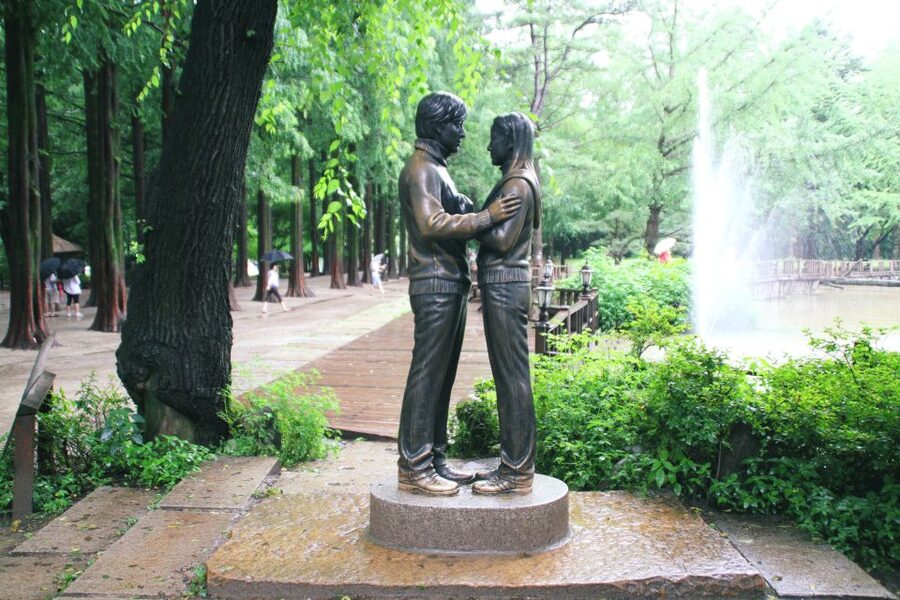 Seoul: Private Customizable Tour to Nami Island and More - The 1-hour ride out of Seoul: use it well