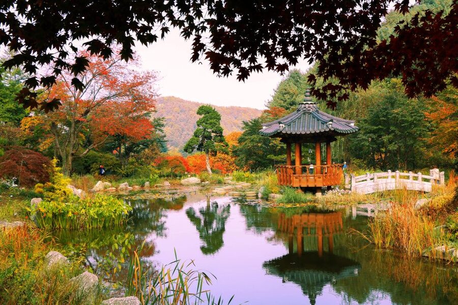 Seoul: Private Customizable Tour to Nami Island and More - Garden of Morning Calm: themed gardens and a Korean-style gazebo