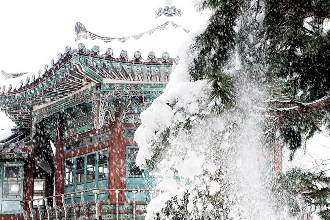 Seoul Private RV tour, explore real Korea from Past to Future - Private RV Logistics: Comfort, Size, and One-Group Flow