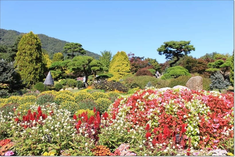 Seoul: Private Tour to Nami Island, Garden, Petite France - From Seoul Pickup to the Nami Island Ferry Ride