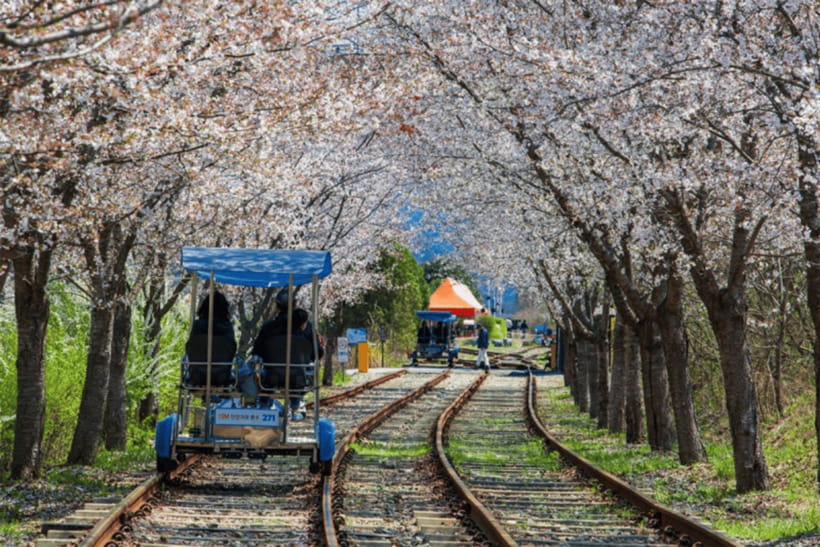 Seoul: Samaksan Cable Car & Nami with Alpaca World/Railbike - Summer Option in Chuncheon: Chuncheon Mulle-gil Canoeing