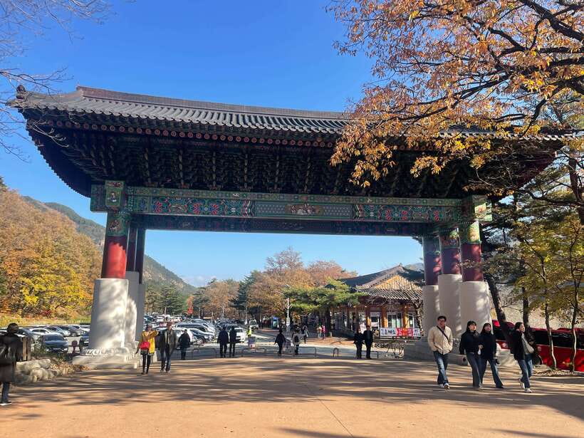 Seoul: Seorak Mountain, East DMZ, and Sokcho Tour - Key Things I’d Book This For