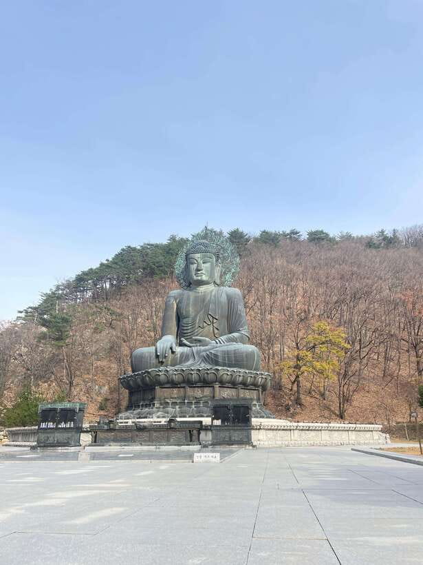 Seoul: Seorak Mountain, East DMZ, and Sokcho Tour - Meeting Up in Seoul or Incheon Without the Headache