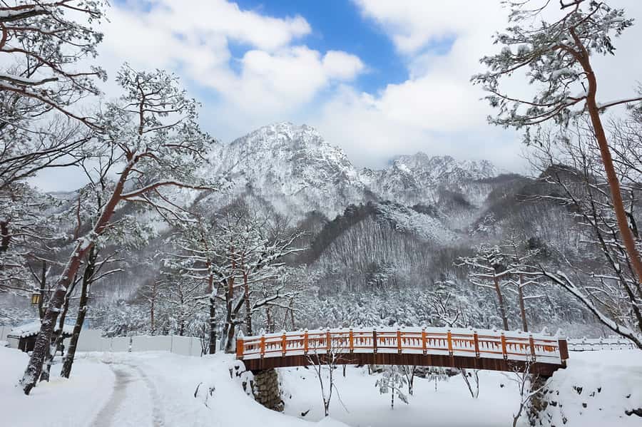 Seoul: Seorak Mountain+Nami Island+Eobi Ice Valley Tour - Key things to know before you go