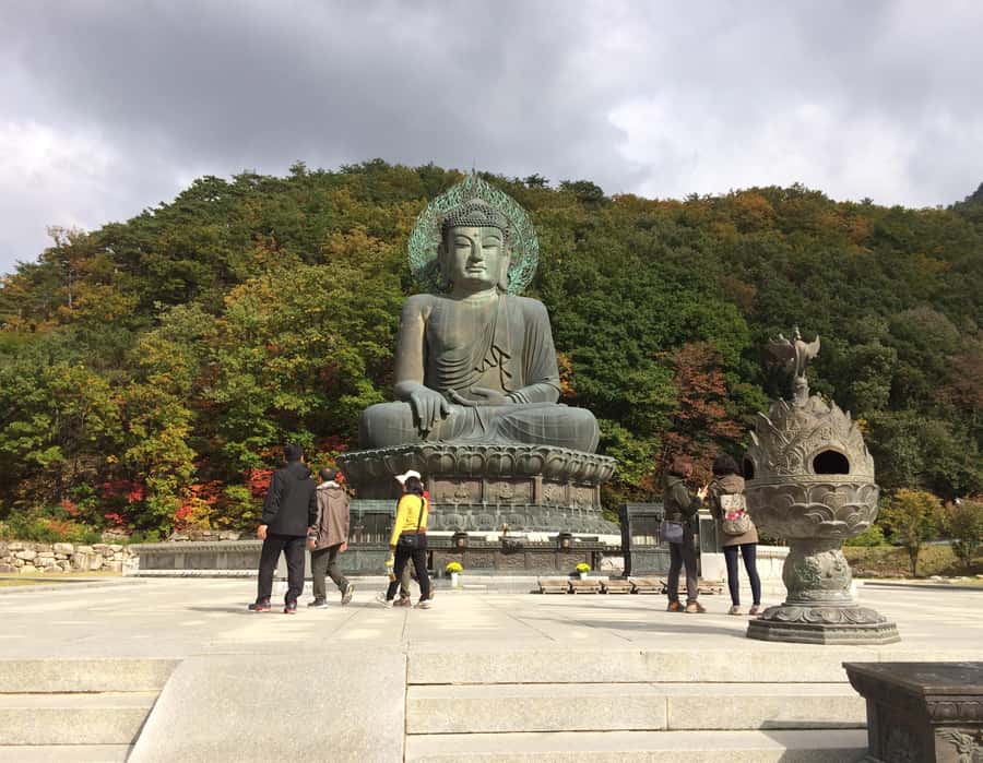 Seoul: Seorak Mountain+Nami Island+Eobi Ice Valley Tour - Comfort and safety: who this tour is best for