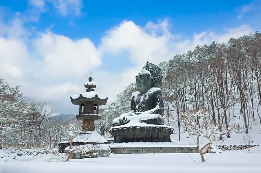 Seoul: Seorak Mountain+Nami Island+Eobi Ice Valley Tour - Pacing Seoraksan: cable car option, walking reality, and shoe choice