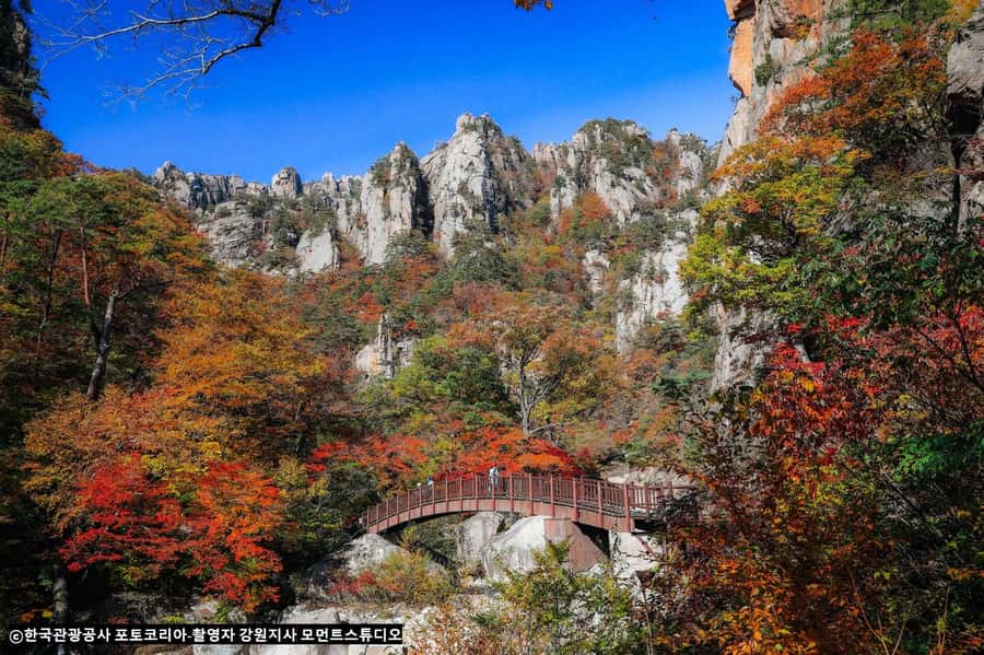 Seoul: Seorak Mountain+Nami Island+Eobi Ice Valley Tour - Zip wire ticket not included: how to plan your Nami Island time